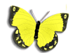 Captcha image 3110